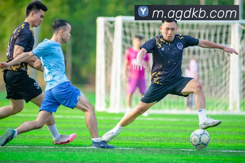 互动解说服务